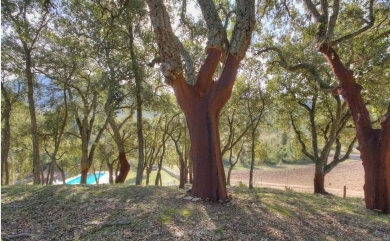 Gites Carbuccia En Corse Avec Piscine Chauffee Eksteriør bilde