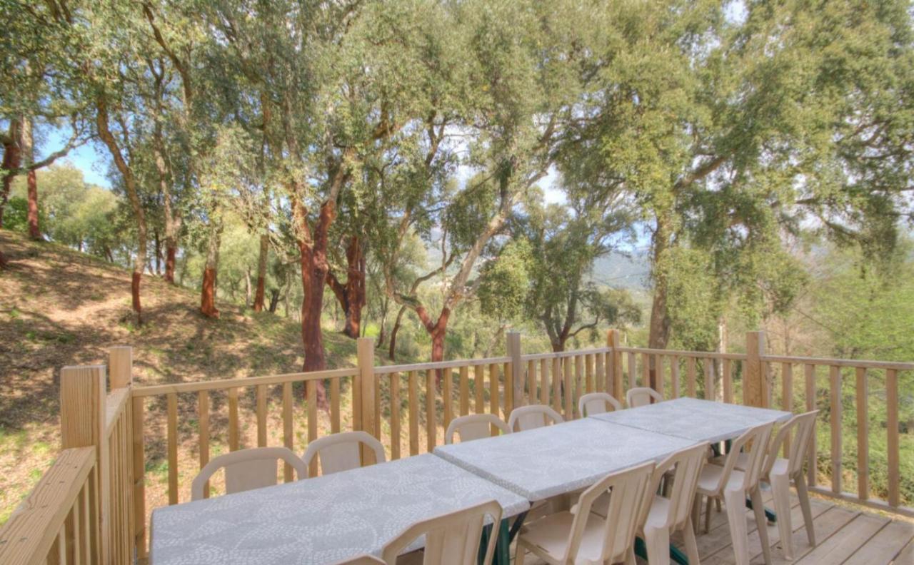 Gites Carbuccia En Corse Avec Piscine Chauffee Eksteriør bilde