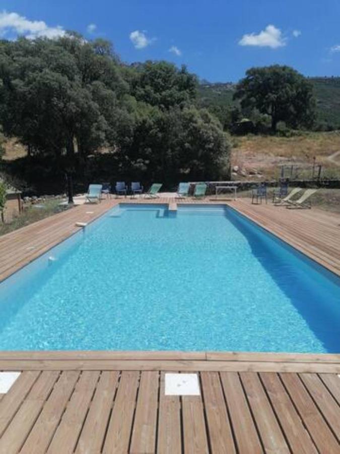 Gites Carbuccia En Corse Avec Piscine Chauffee Eksteriør bilde