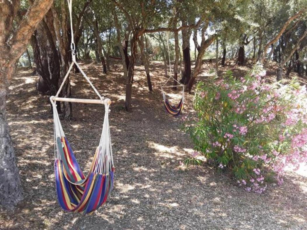 Gites Carbuccia En Corse Avec Piscine Chauffee Eksteriør bilde